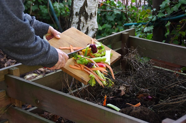 Astuces jardin : comment trier et stocker ses graines plus facilement ?
