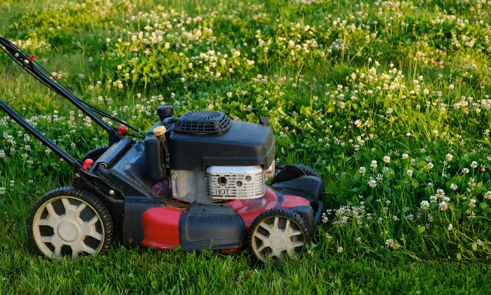 L’herbe pousse rapidement au printemps, il faut tondre souvent ! L’herbe pousse rapidement au printemps, il faut tondre souvent ! - ©  Hannah - stock.adobe.com
