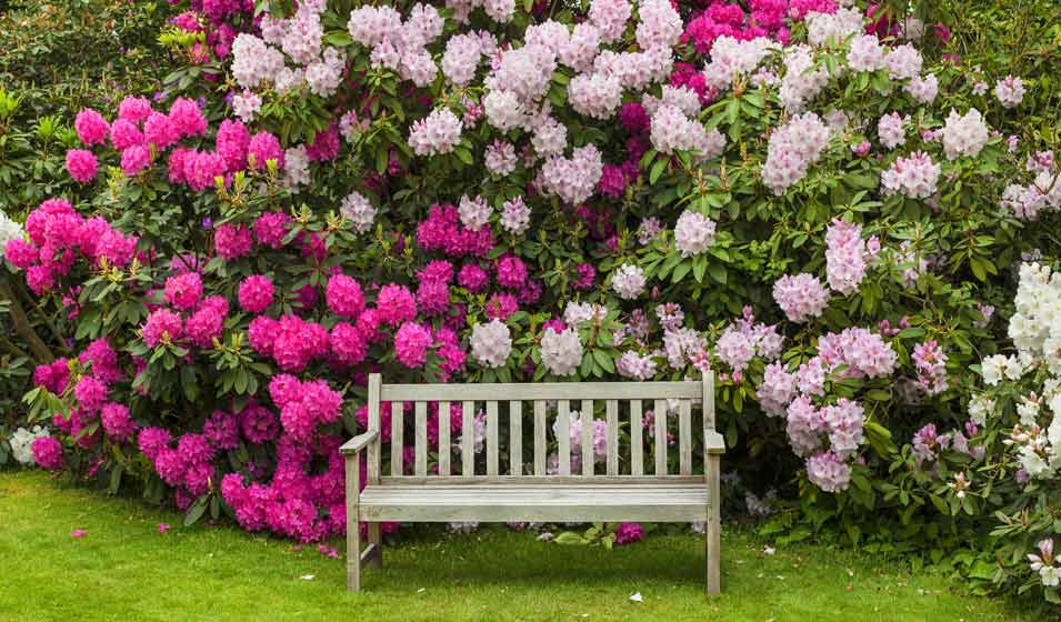 Tellement romantique 