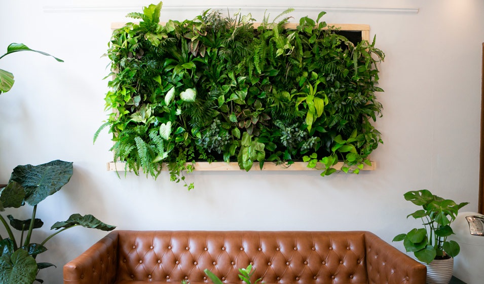La Fabrique à Déco: Tableaux végétaux : un jardin d'intérieur vertical et  original