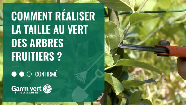 Planter un arbre fruitier formé - Gamm vert