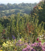 Panorama des collines du bocage normand