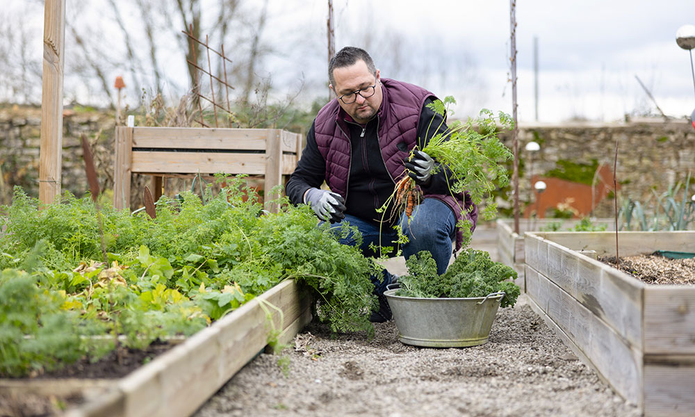 "Je donne du lait à mes légumes !"