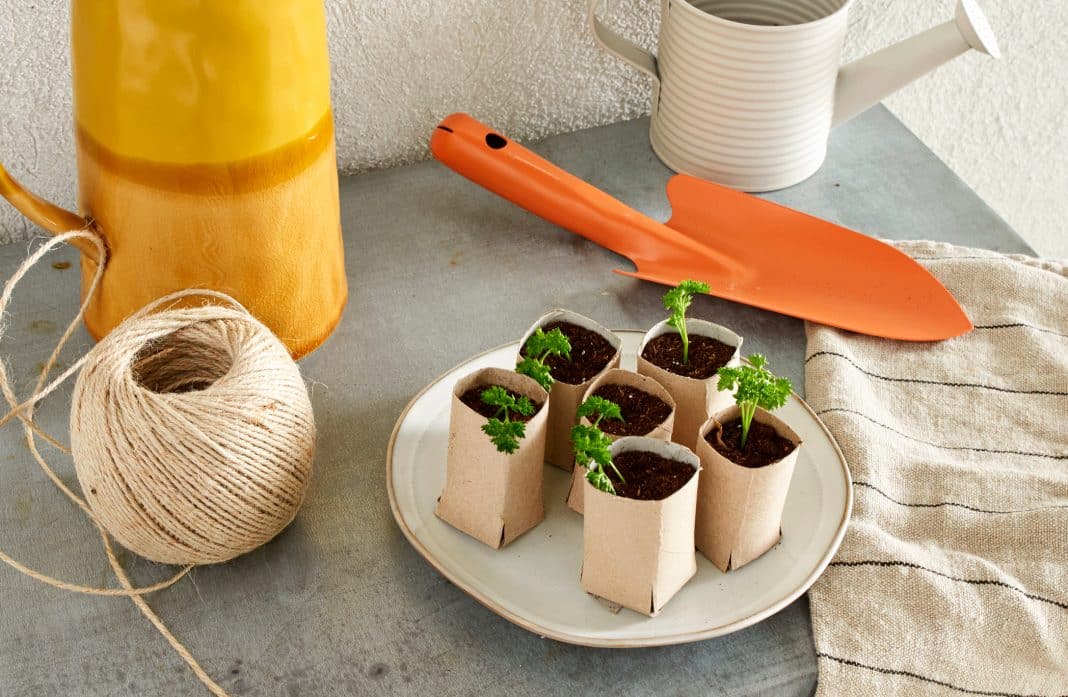 Réaliser des semis à partir de petits pots "fait maison" - Jardiland
