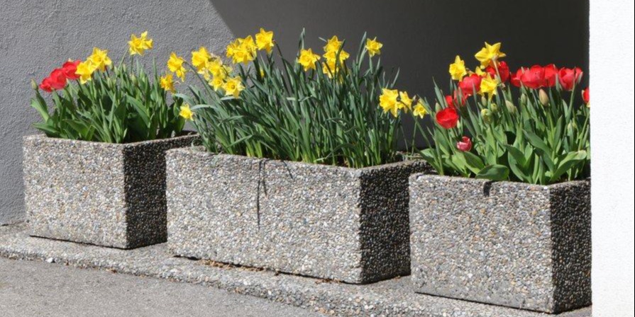Des jardinières composées de bulbes de printemps