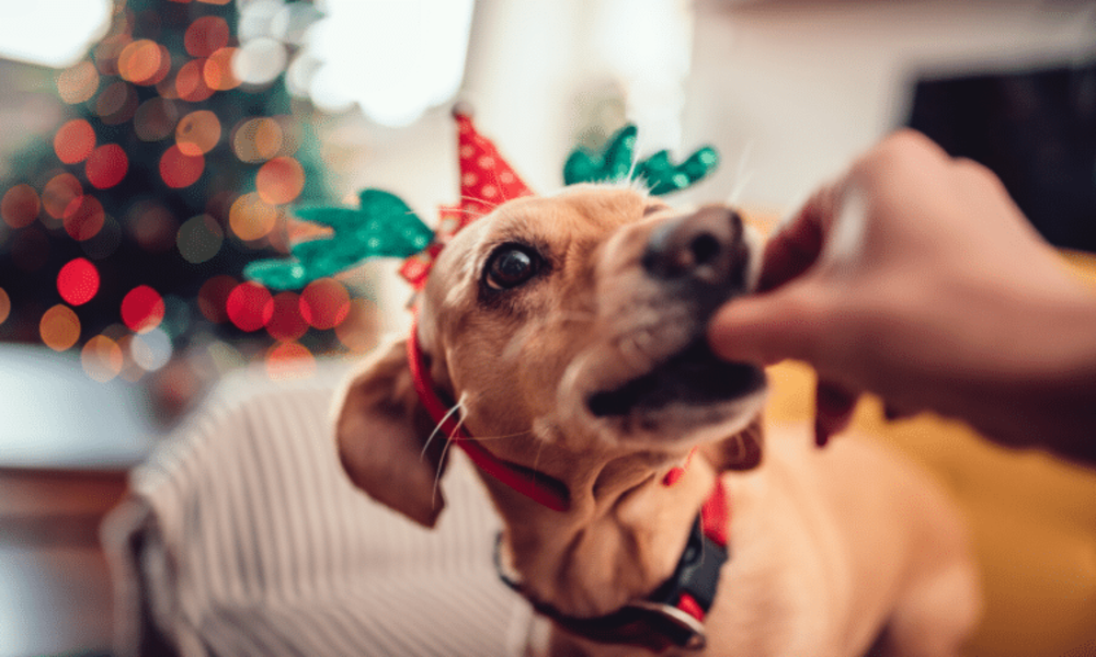 La gourmandise n'est pas un vilain défaut à noël ...