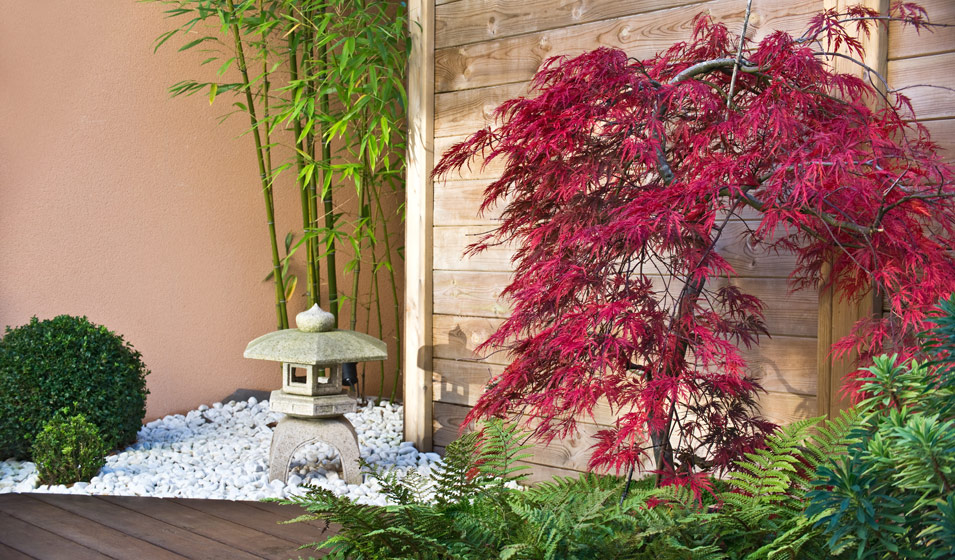 Faire et éclairer un jardin japonais zen chez vous – Lumihome
