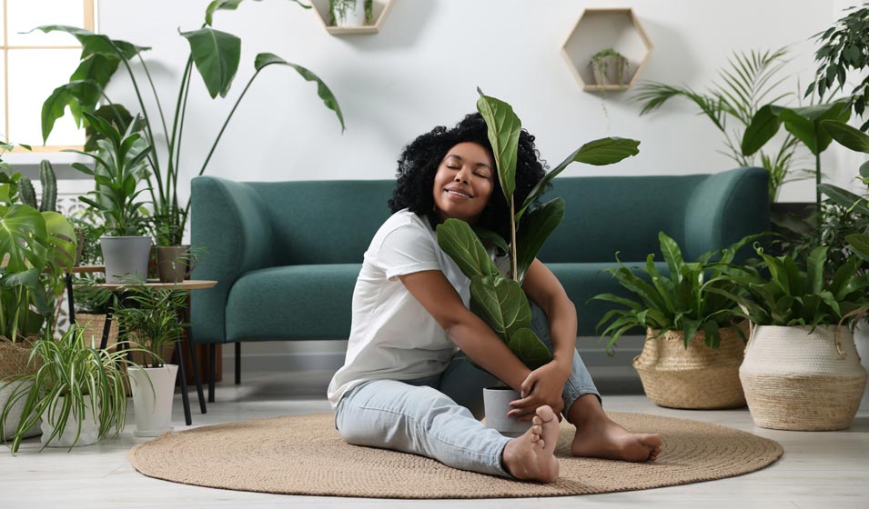 Module électrovanne PLC SMC VEX1133-02N-X259 Neuf - Pour Automatisation Industrielle