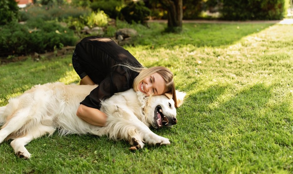 Gardez tous les jours un moment pour jouer avec votre chien