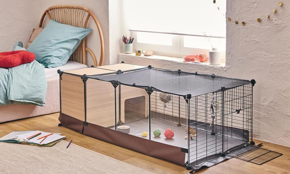 Quel habitat choisir pour mon lapin nain ?