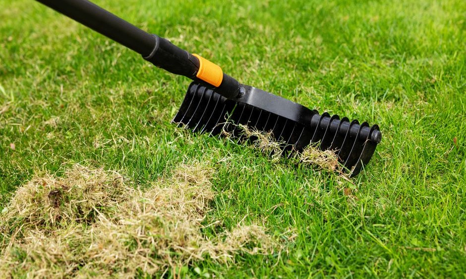 Aération et scarification sont indispensable pour une pelouse belle et en bonne santé !