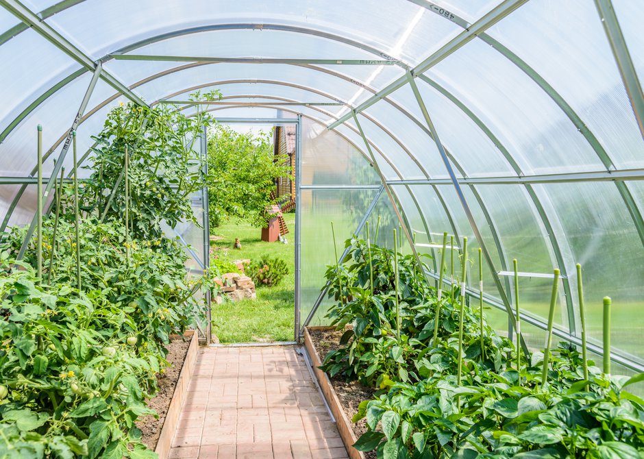 Comment bien organiser les plantations dans une serre de jardin