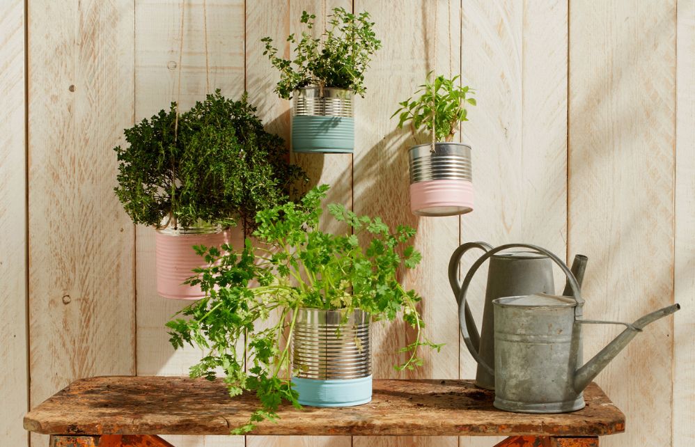Suspension des pots d’aromatiques