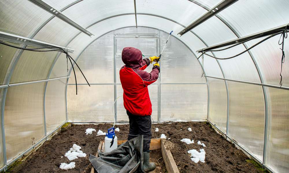 La serre est vidée et nettoyée avant l’hiver 