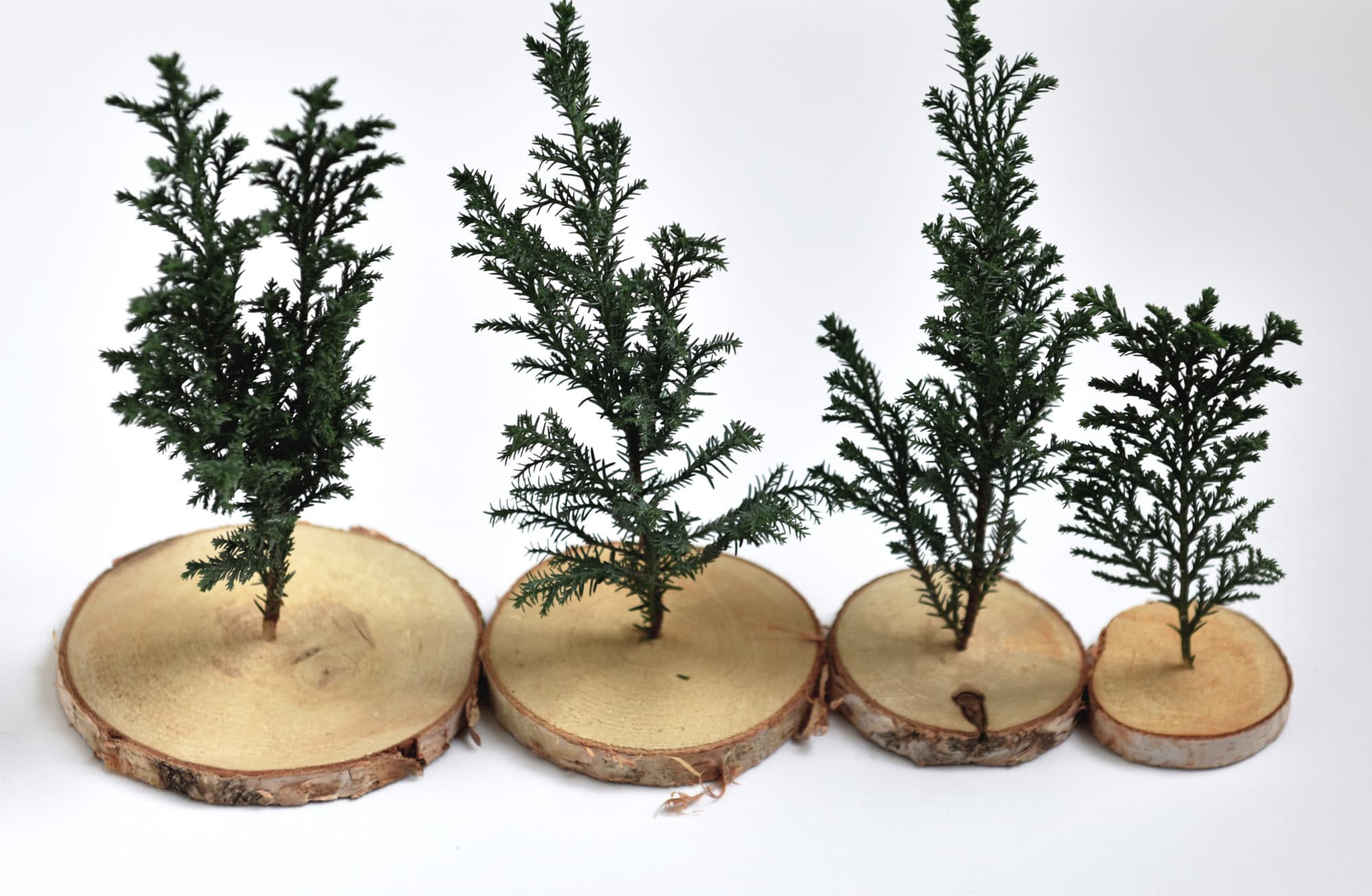 Insérez les branches