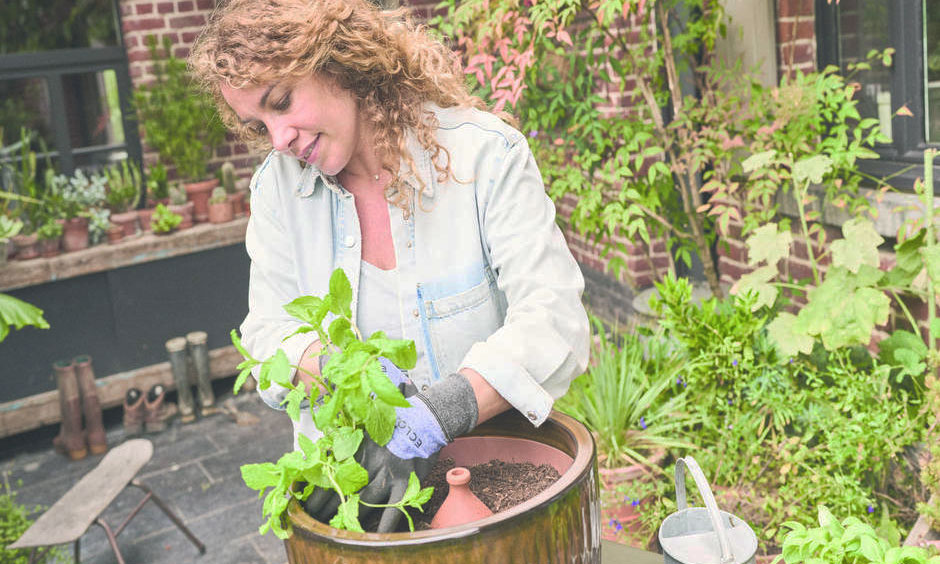 En pots ou en pleine terre, les oyas sont parfaites pour les plantes du potager