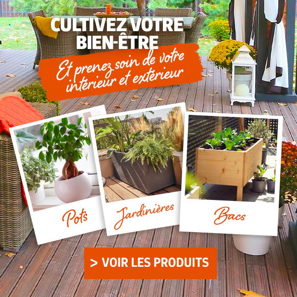 Paillages plantes : Entretien des plantes et balcon terrasse - botanic®