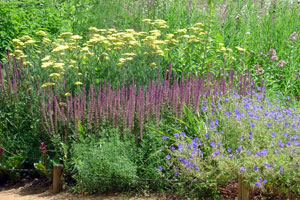 Un jardin sauvage au Festival de Chaumont sur Loire