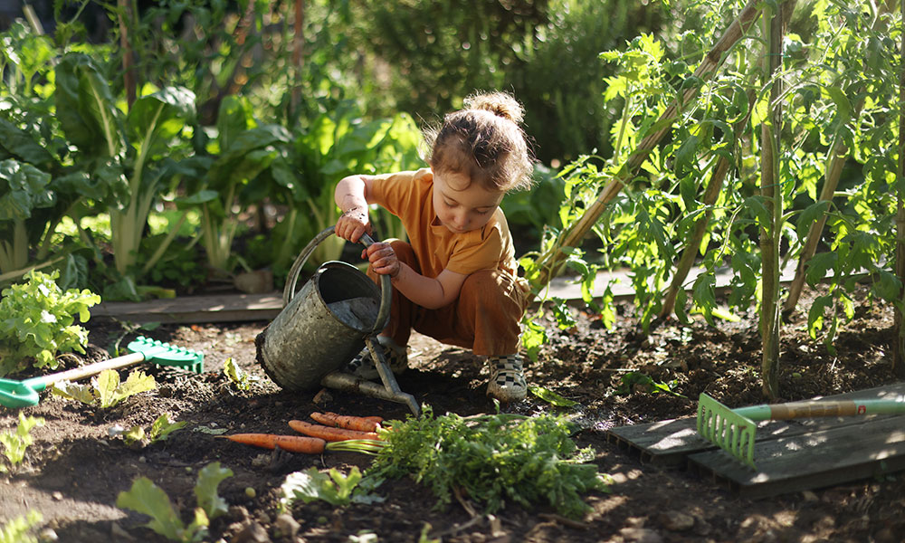 Comment préparer son potager avant de partir en vacances ?