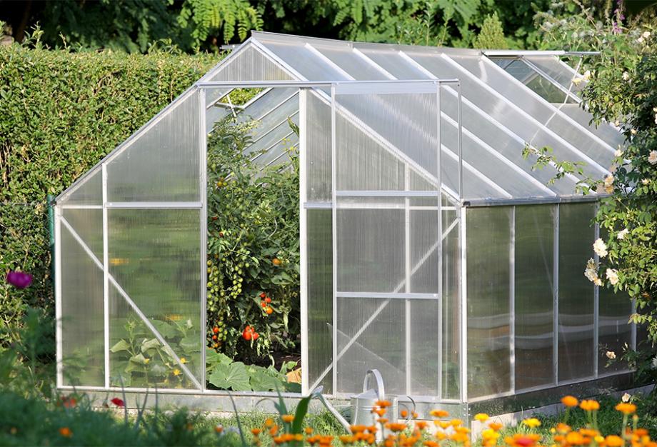Cultiver vos tomates sous serre