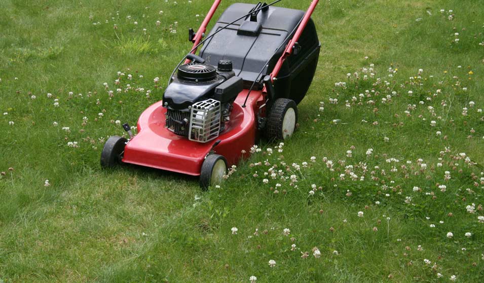 Elle coupe large