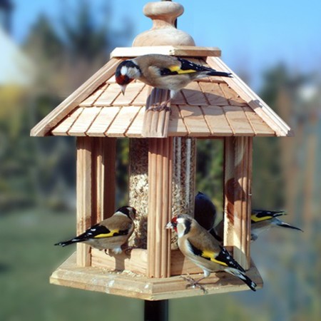 Quelles mangeoires choisir pour les oiseaux du jardin ? - Jardiland