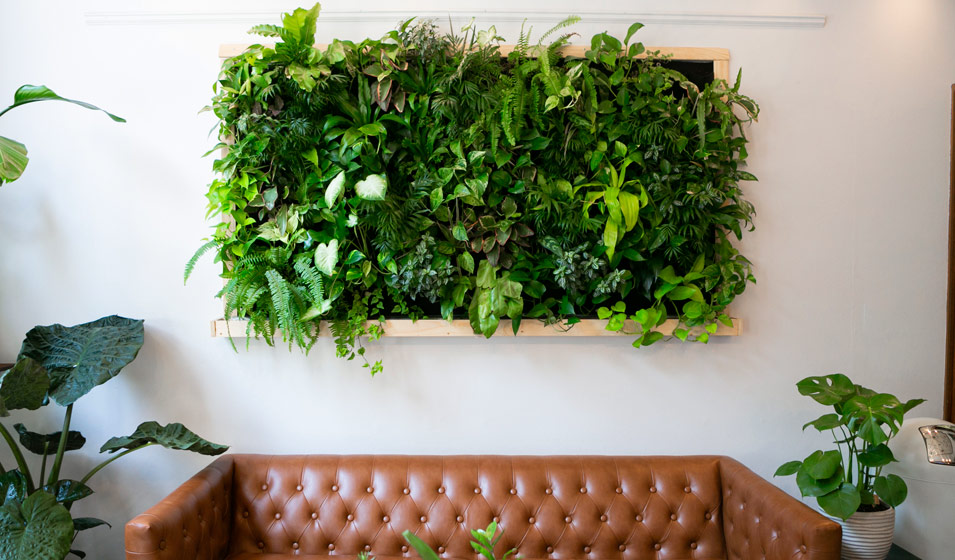 5 idées de jardins vivants en entreprise : cloison & mur végétal