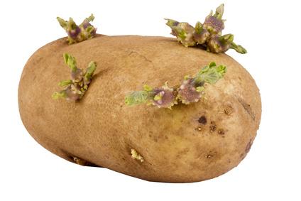 Pommes de terre : un excellent remède contre le mal de gorge ! – Darmaxis