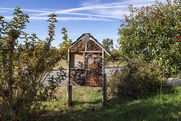Un hôtel à insecte pour sauvegarder la biodiversité dans le jardin