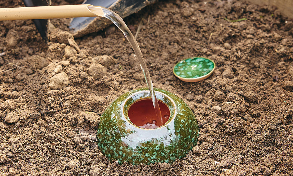 Un bel oya enfoncé dans le substrat pourra assurer les besoins en eau de la plante pour plusieurs jours