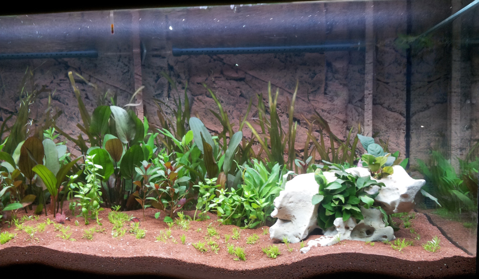 acuario natural