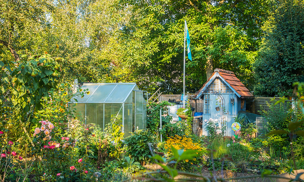 L'abri de jardin peut être un élément de déco !
