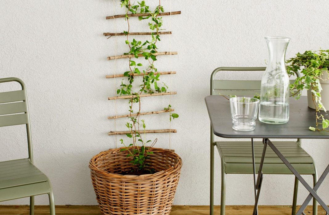 Fabriquer soi-même un support pour plantes grimpantes