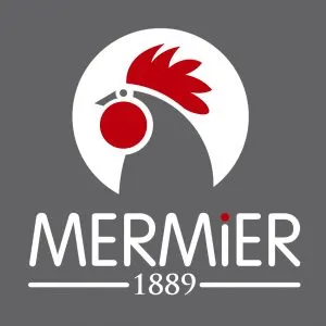 SURICUT - Couteaux de rechange pour mèche de tarière 200 mm - Bricolage