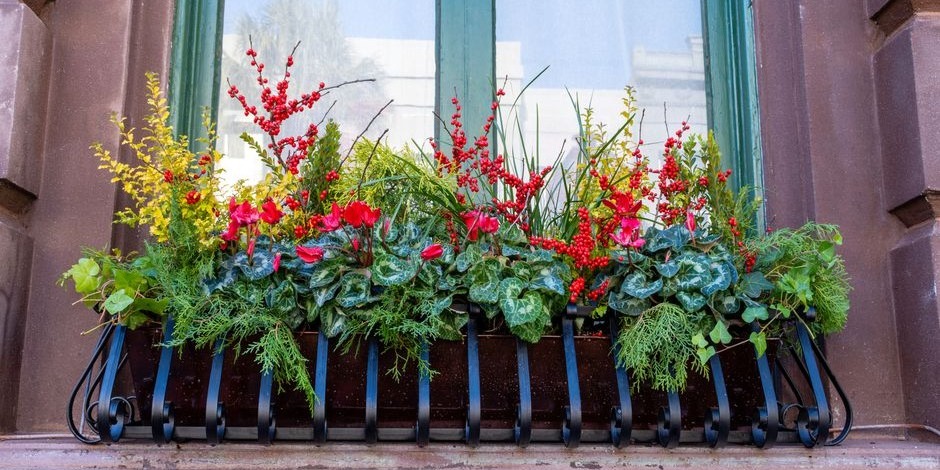 Fleurs, feuillages, textures, silhouettes, une belle diversité pour une jardinière plaisante et qui attire le regard