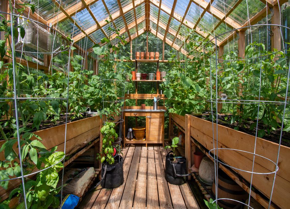 La serre permet de cultiver des plantes, d’accueillir des semis, des jeunes plants, son rôle est pratique