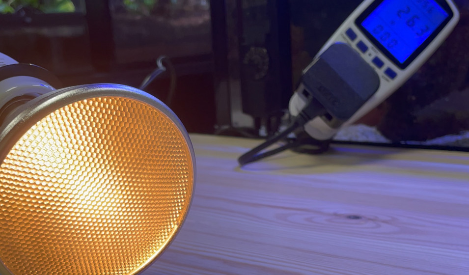 Lampe chauffante et thermostat avant installation en terrarium