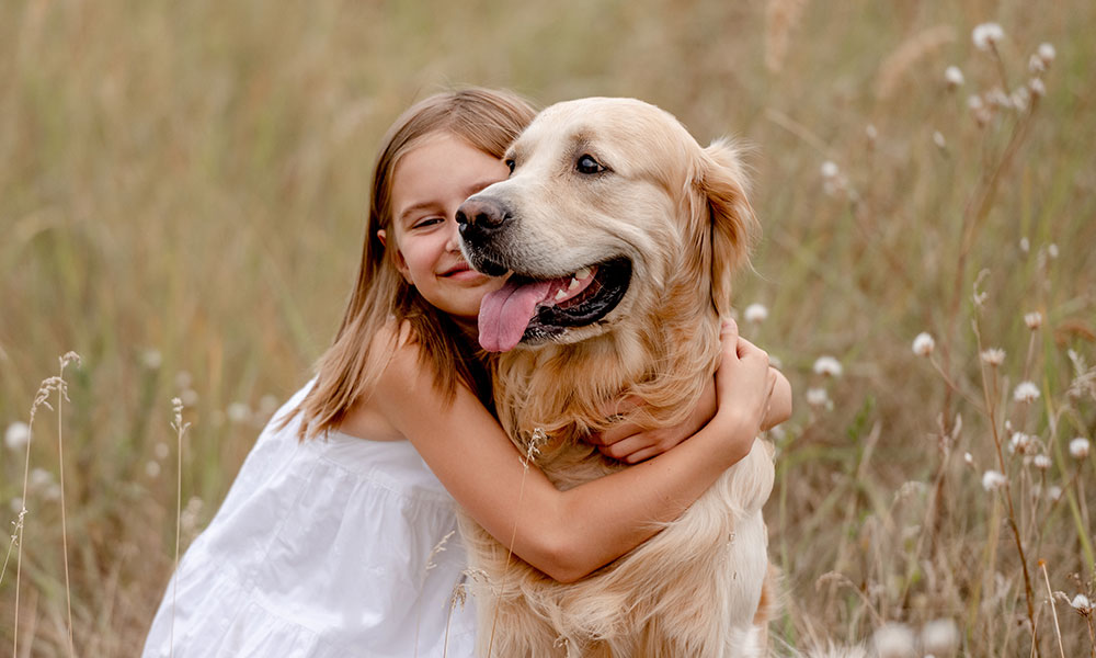 Un chien qui a sa place dans le foyer, dans le cercle familial