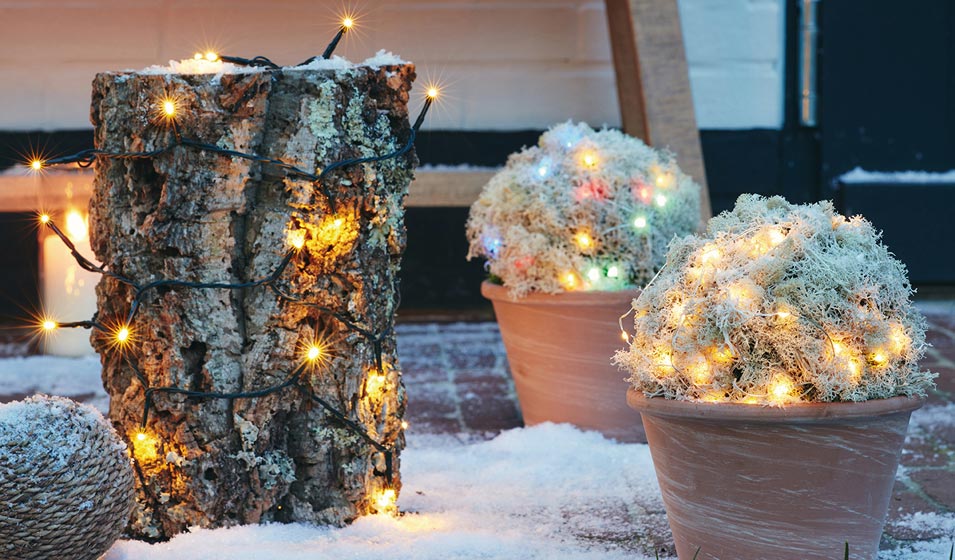 Faites la lumière sur votre sapin ! 