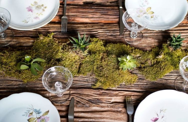 Les succulentes à table