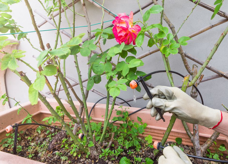 Un système de goutte-à-goutte autonome