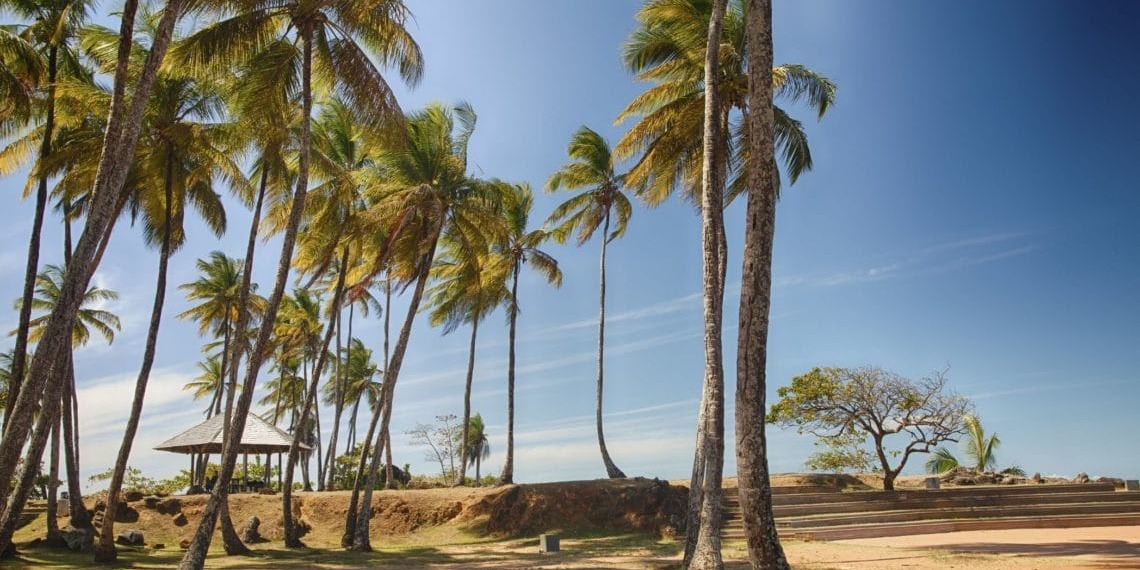 Zoom sur la Guyane