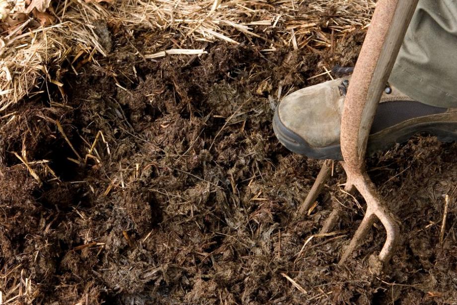 Le fumier est un fertilisant plutôt qu'un engrais.©sherez - stock.adobe.com