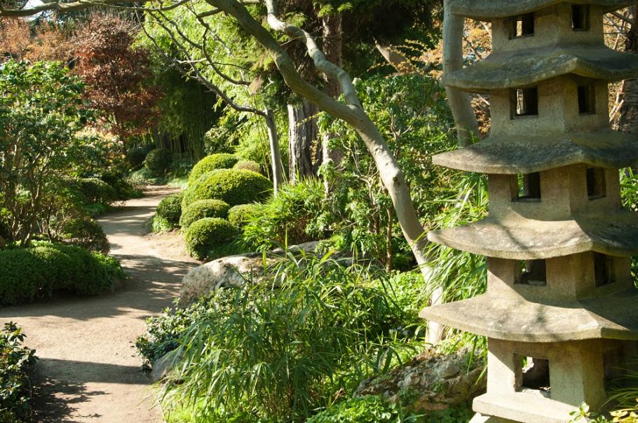 3 clés pour composer un petit jardin japonais - Gamm vert