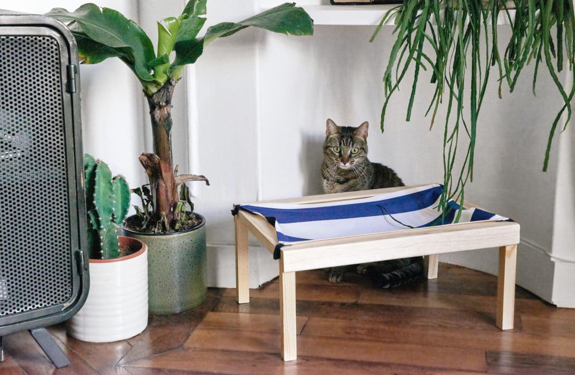 Mon hamac pour chat