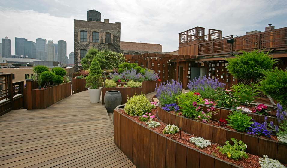 Un jardin vertigineux