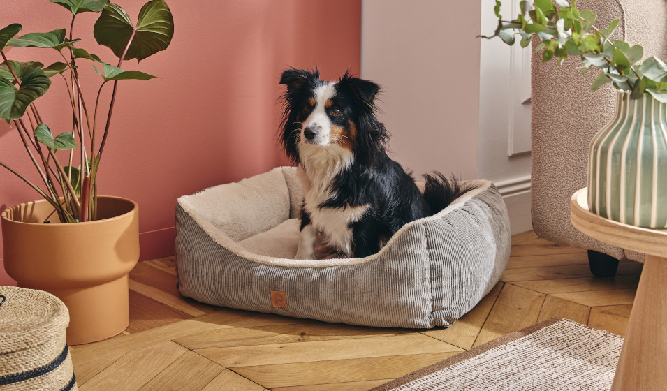 Panier pour chien Pure Family