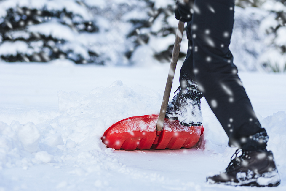 La protection du gazon en hiver