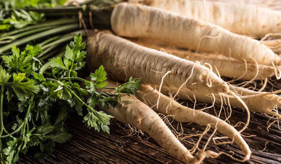 Légume ancien, le panais