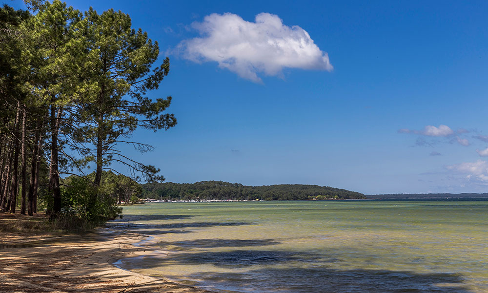 Le lac de Biscarosse